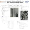 Organization, Migration, and Digitization of the McNay Art Museum's Photography Materials