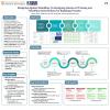 Designing Against Deskilling: Co-Designing Human–AI Training and Workflow Interventions for Radiology Practice