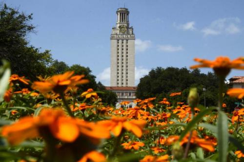 University of Texas tower rises in the distance above orange marigold flowers in the foreground