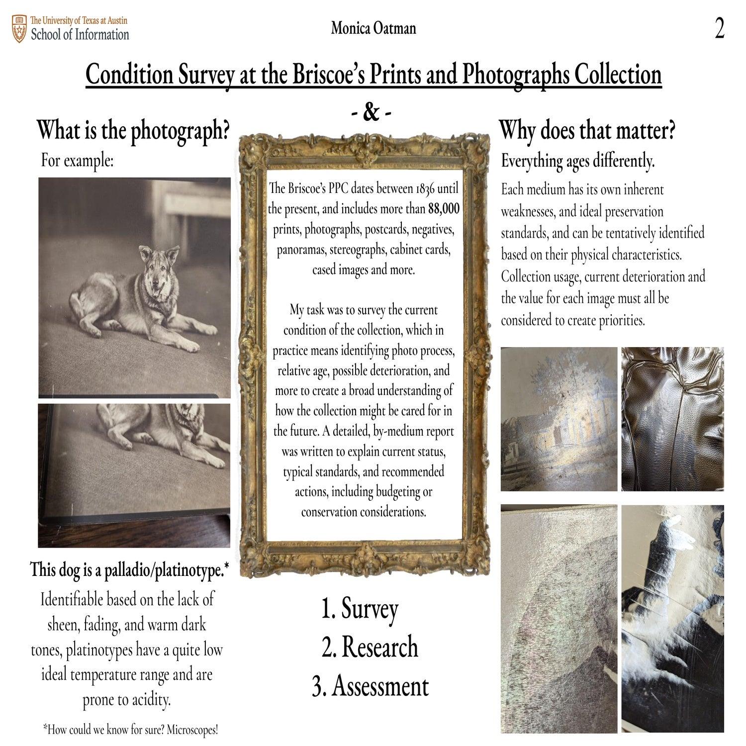 Condition Survey of the Prints and Photographs Collection at the Briscoe