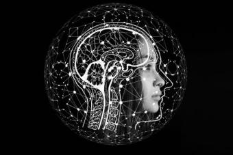 Brain within a globe connected through computer like circuitry