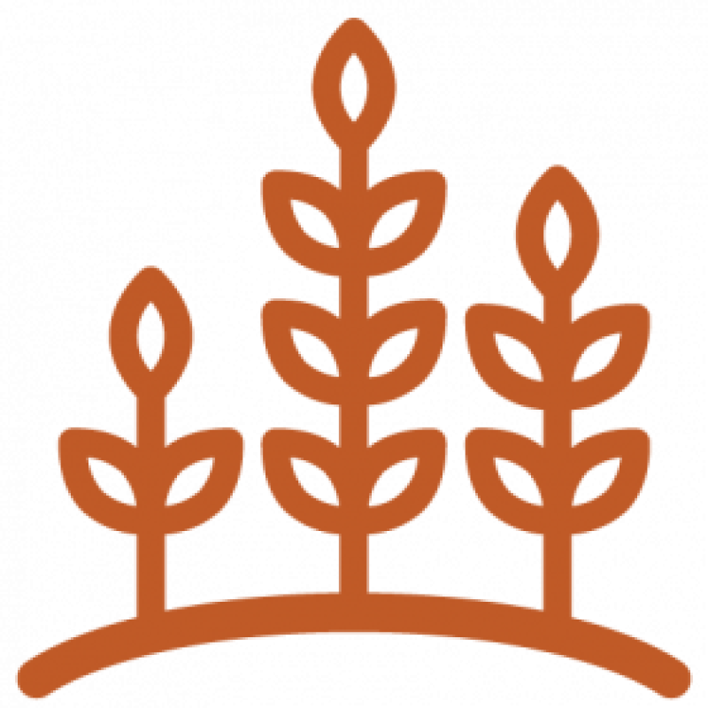 growth-icon-orange