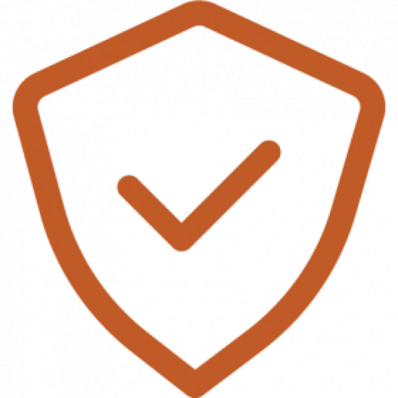 security-badge-icon-orange